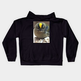 Punk Rock Chick - King of the Birds! My Friend the Goldcrest! Kids Hoodie